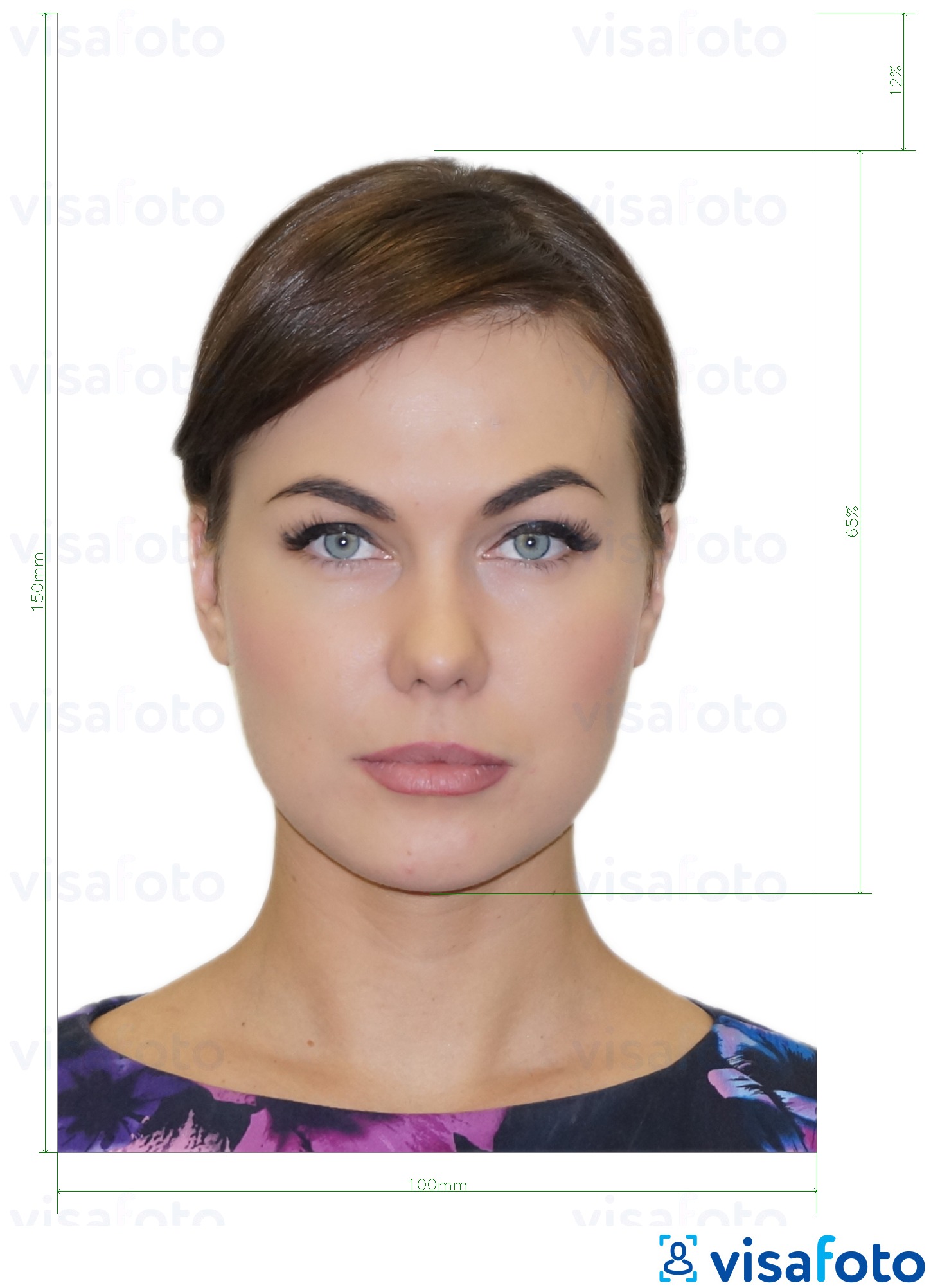 דוגמא לתמונה על מולדובה תעודת זהות (עלון זיהוי) 10x15 ס