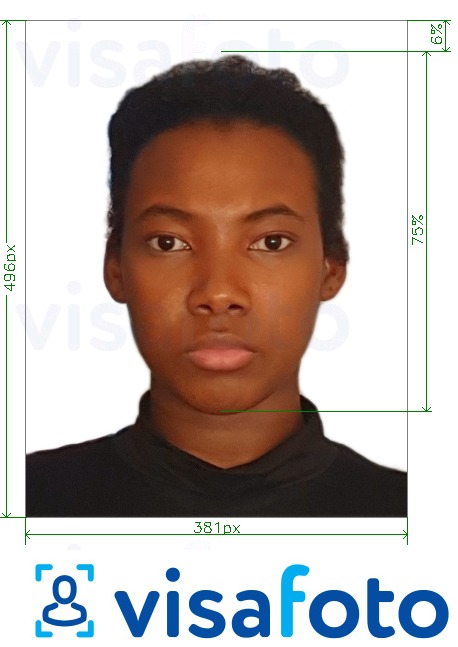 דוגמא לתמונה על אנגולה ויזה באינטרנט 381x496 פיקסלים בעלת מידות מדויקות