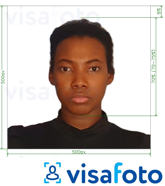 דוגמא לתמונה על קניה e-visa מקוון 500x500 פיקסלים בעלת מידות מדויקות