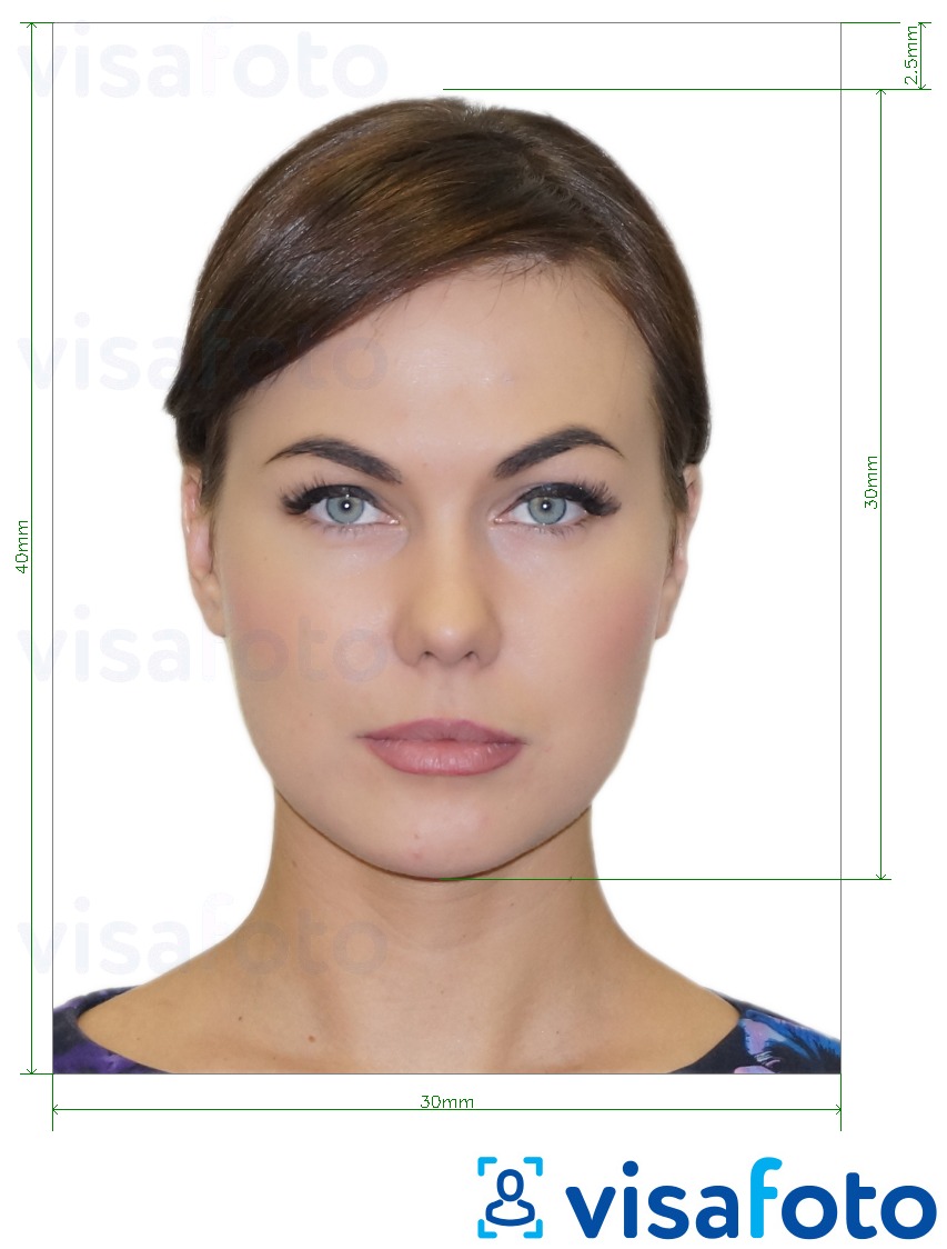 דוגמא לתמונה על מולדובה תעודת זהות (עלון זיהוי) 3x4 ס