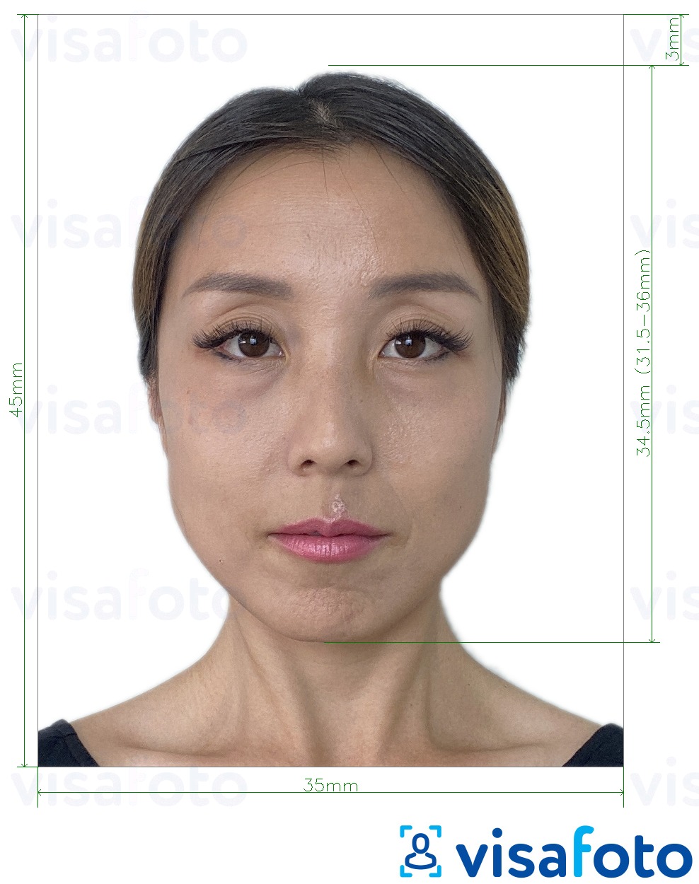 דוגמא לתמונה על מונגוליה דרכון 3.5x4.5 ס